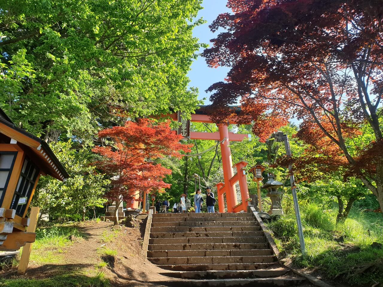 야마나시 여행 🗻 후지산 아라쿠라야마 센겐공원(新倉山浅間公園)