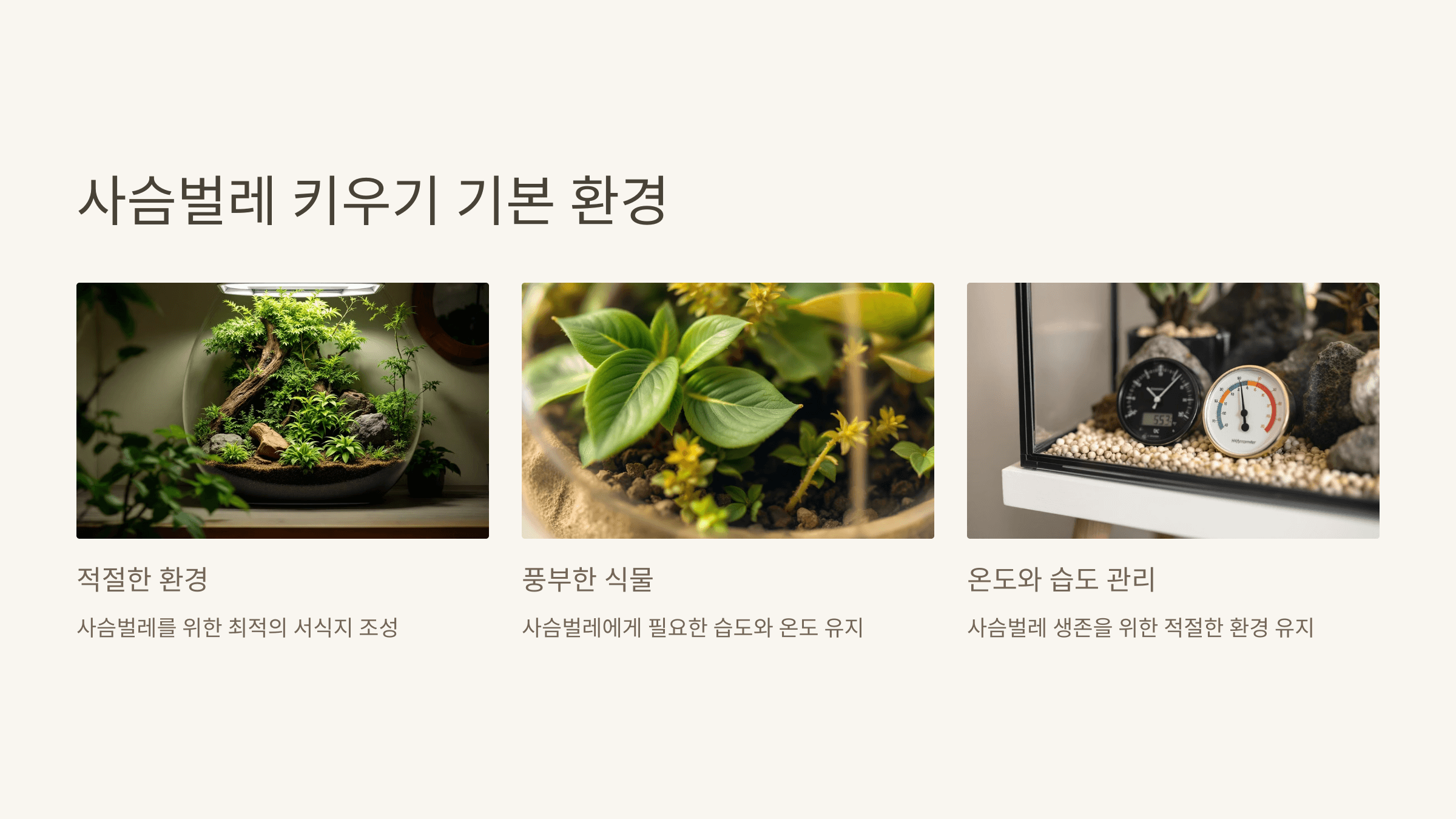 사슴벌레 사진입니다.