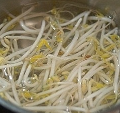 숙주나물의 효능 부작용 요리 고르는법