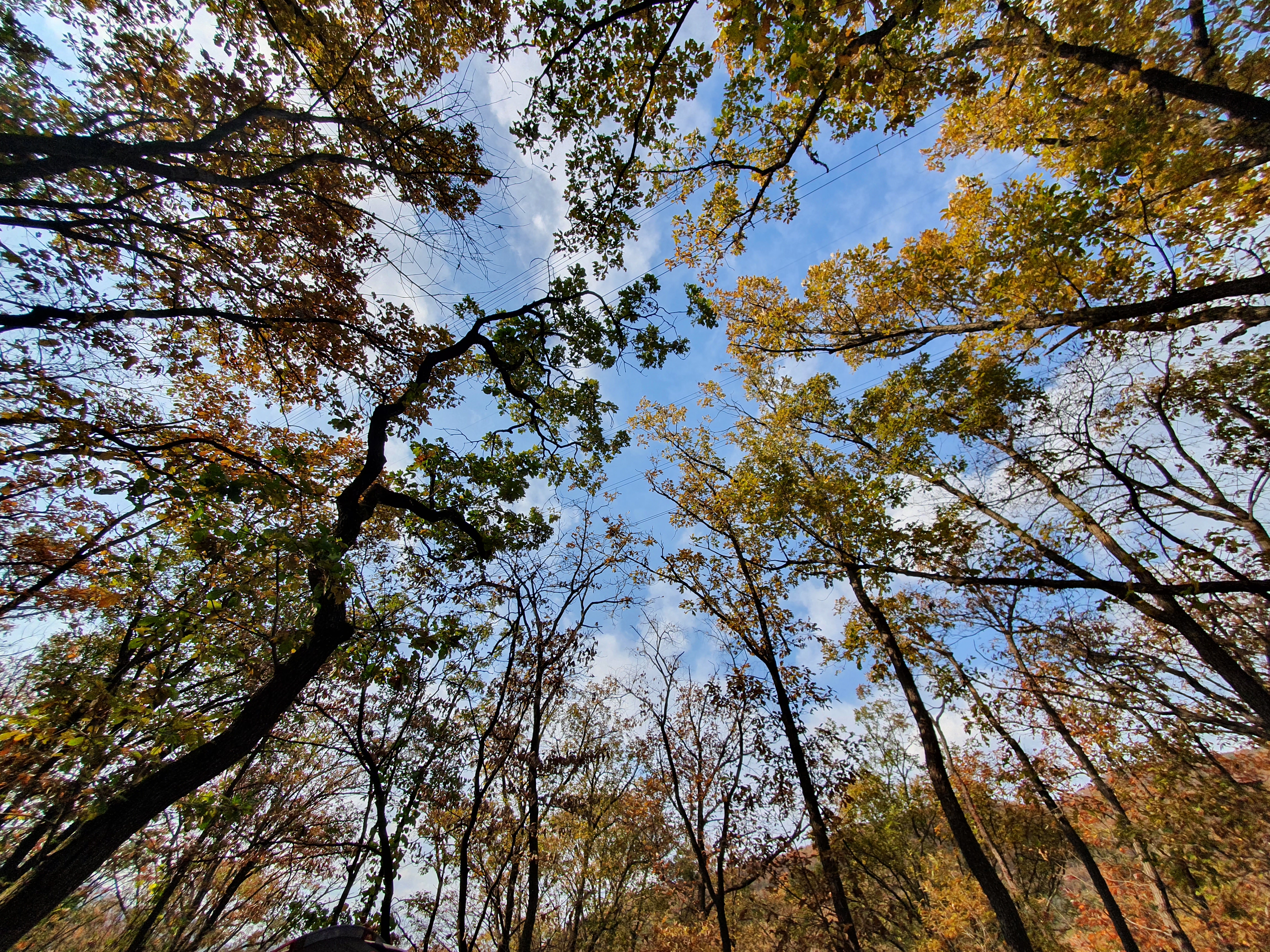가을에 관한 시모음