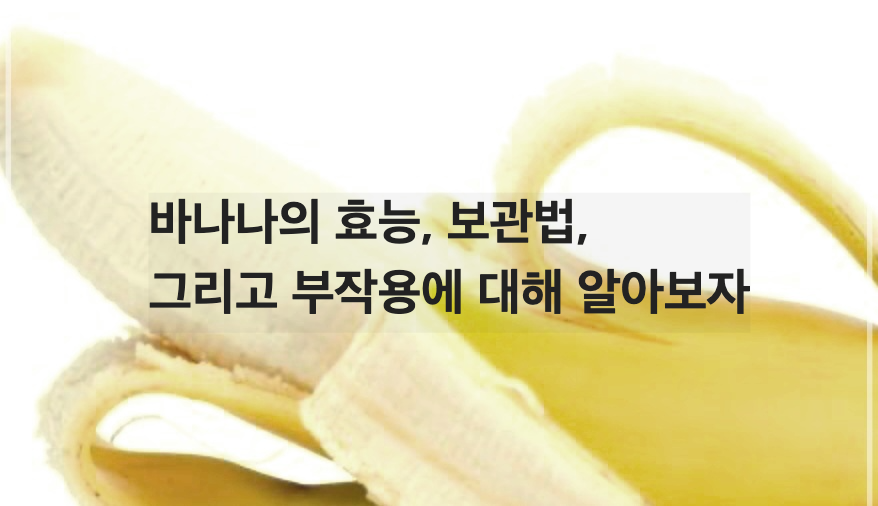 바나나의 효능, 보관법, 그리고 부작용에 대해 알아보자
