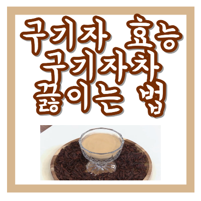 구기자 효능