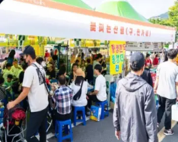 횡성 한우축제_4