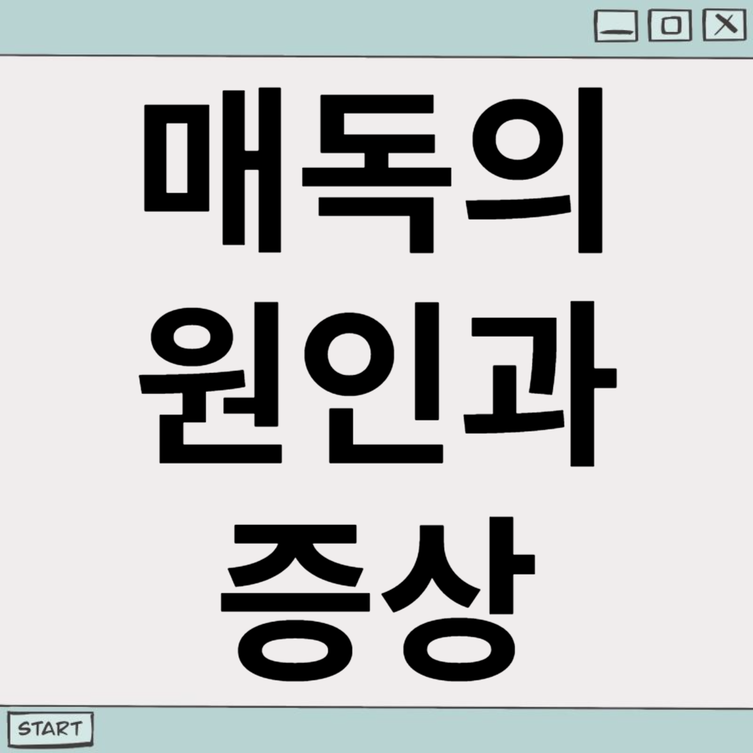 매독의 원인과 증상