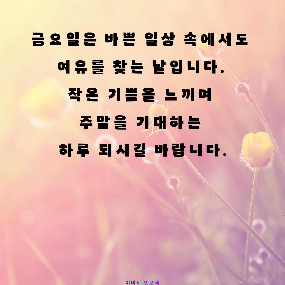 금요일 아침 인사말 이미지 문구 모음집