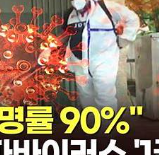 니파바이러스 치사율, 증상과 예방법