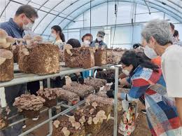 임업경영체 등록조건