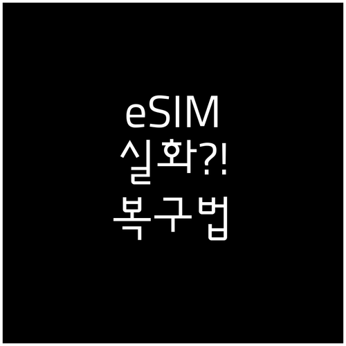 알뜰폰 eSIM 프로필 소실 시 복구..