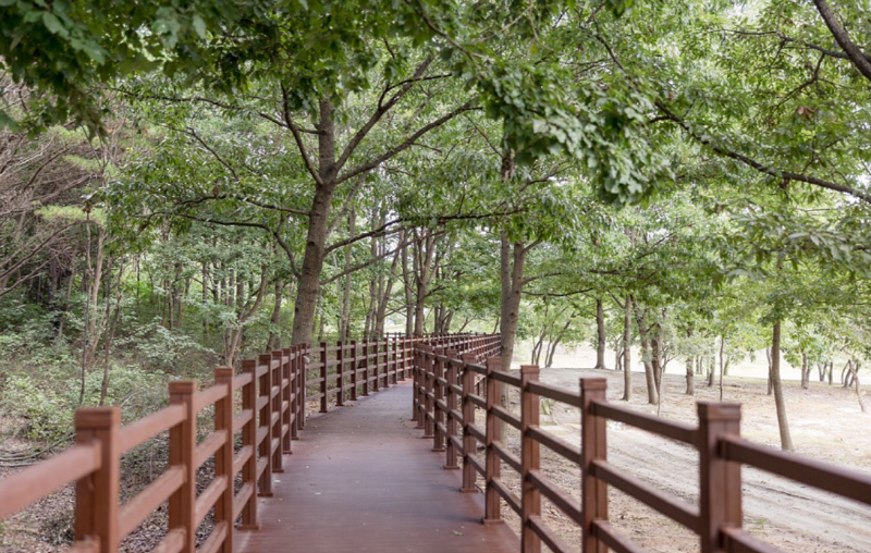 대청호 명상정원