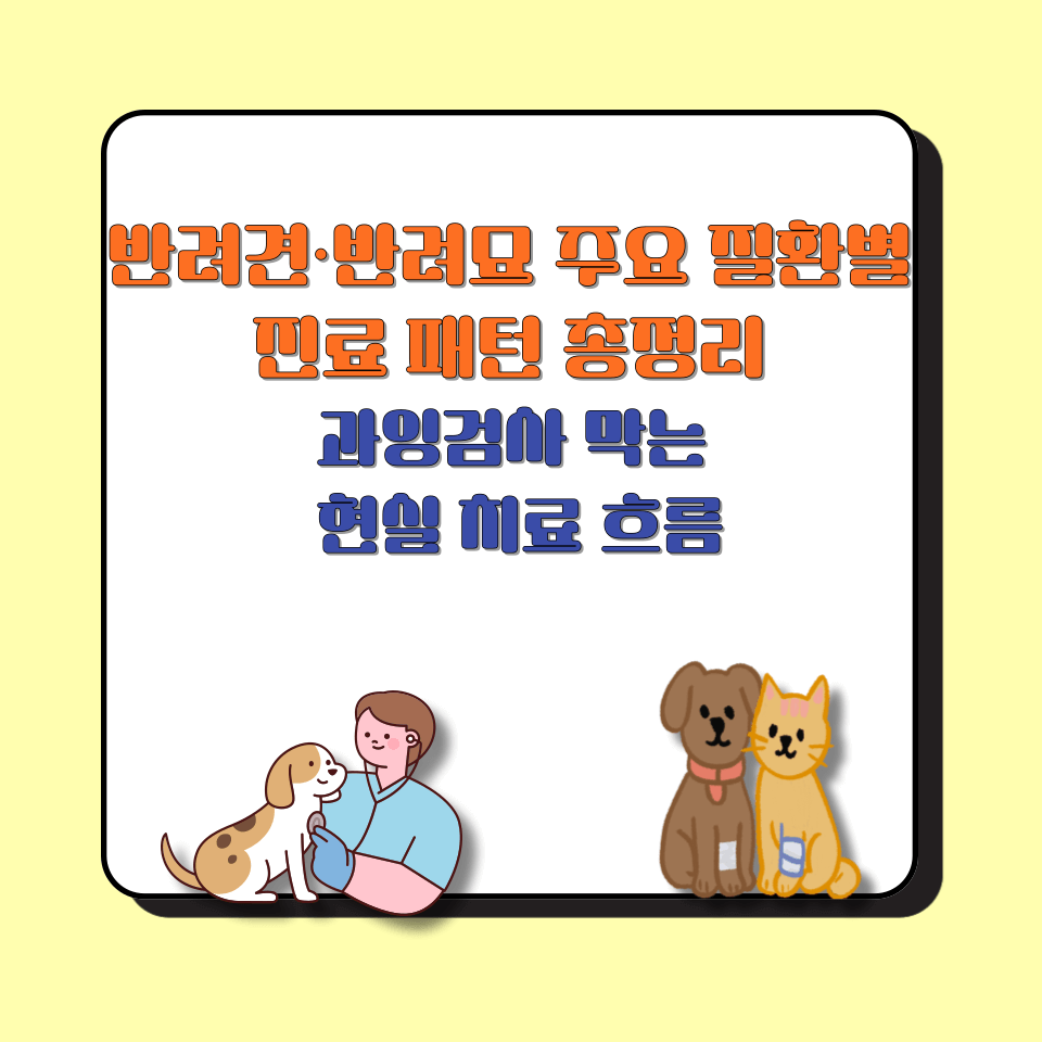 반려견&middot;반려묘 주요 질환별 진료 패턴 총정리│과잉검사 막는 현실 치료 흐름