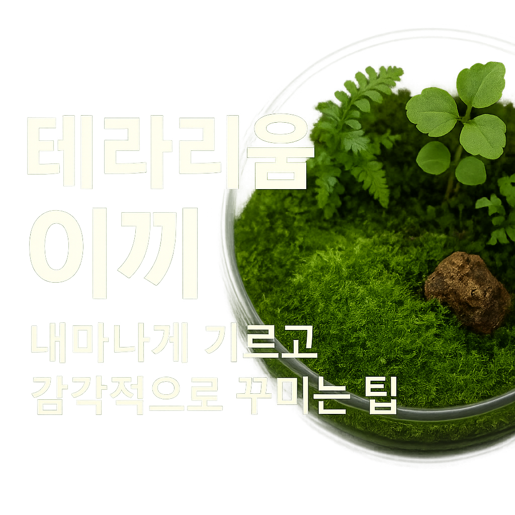 테라리옴 속 다육이