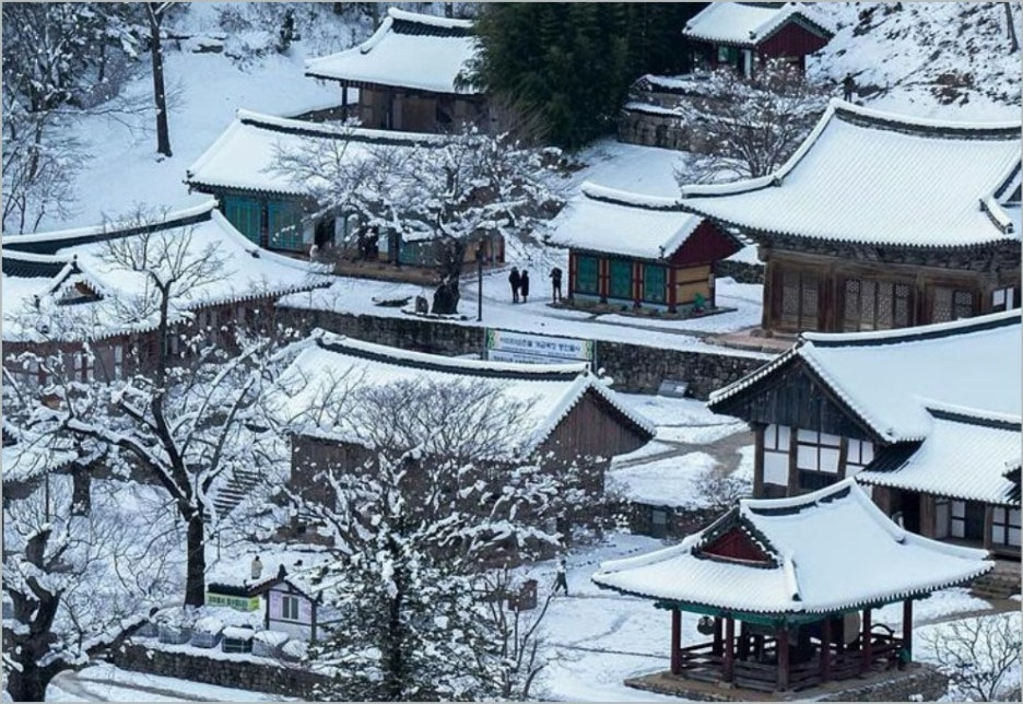 겨울 산사 템플스테이 명소, 고요 속 나를 찾는 사색 여행! 부안 내소사