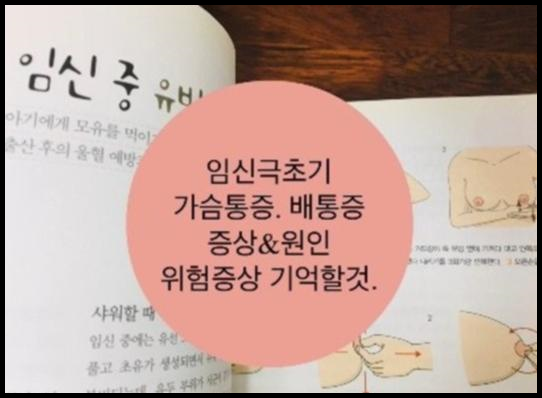 임신 극초기증상