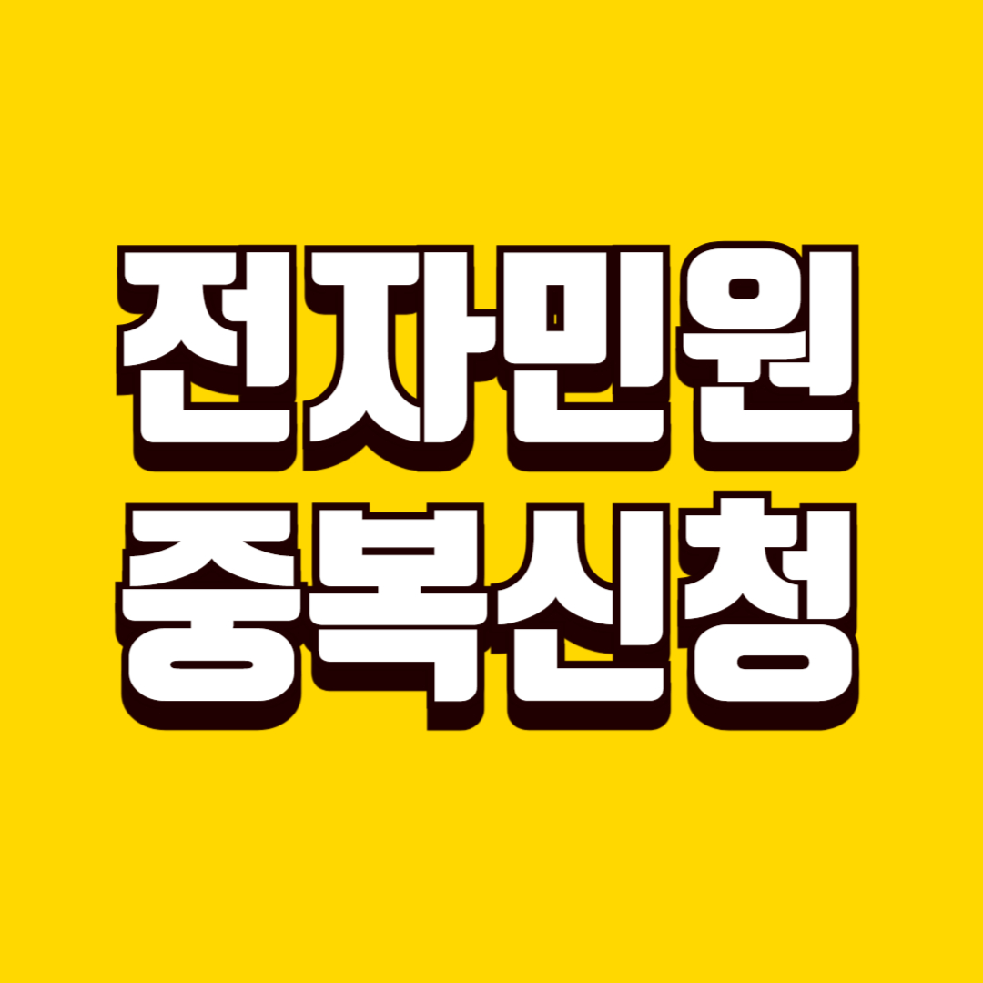 전자민원 중복 신청 해결 방법, 발생 원인, 사전 확인 방법