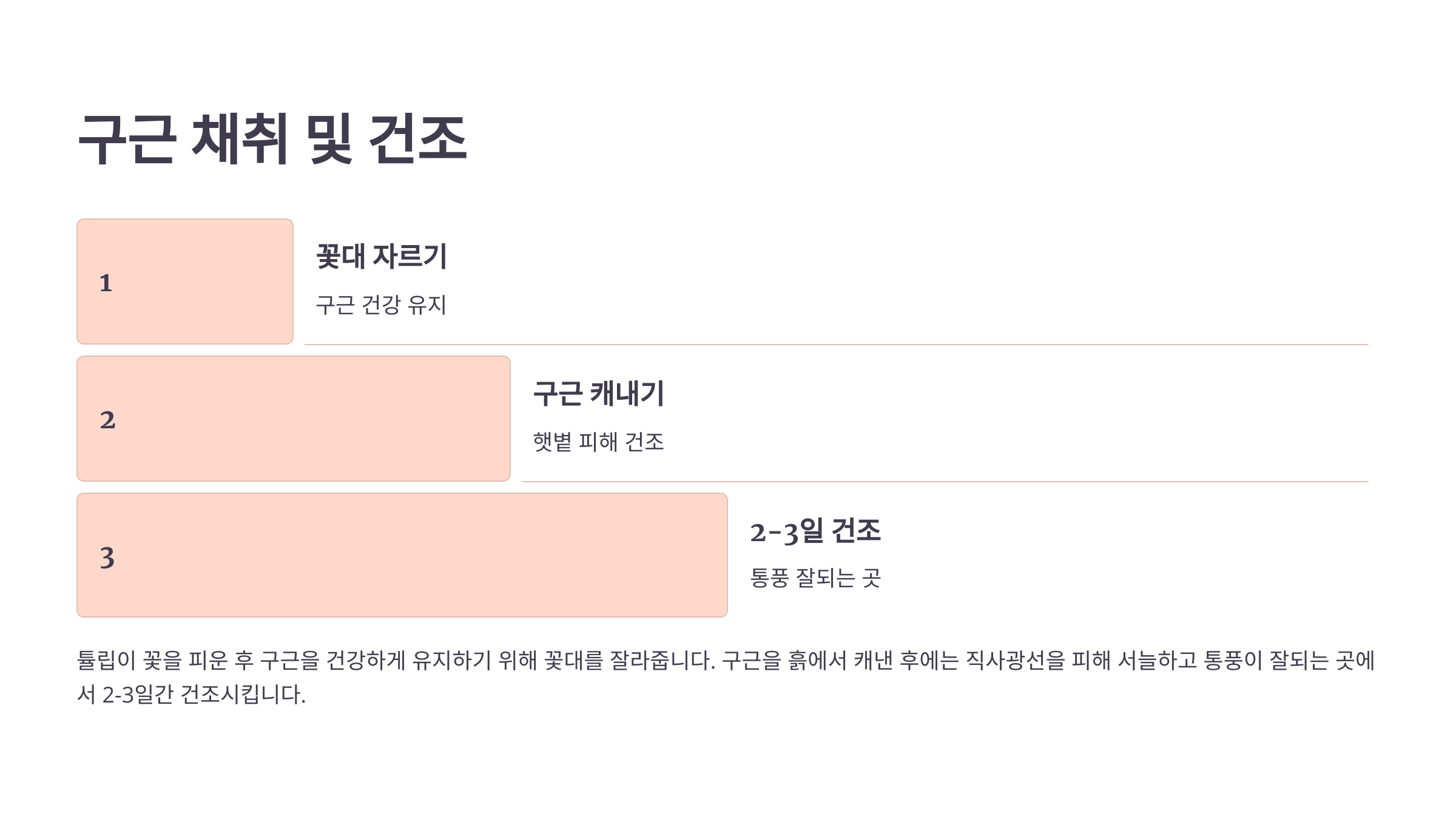 튤립과 관련된 사진입니다.