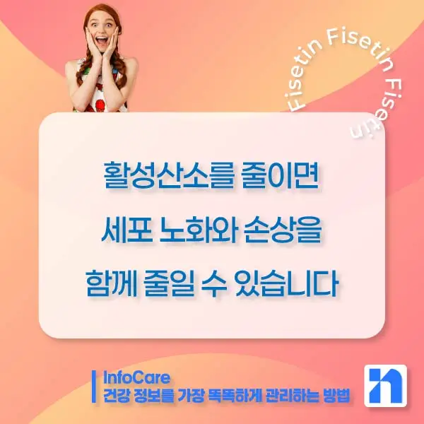 피세틴 효능 항산화 저속노화 노화방지 세놀리틱