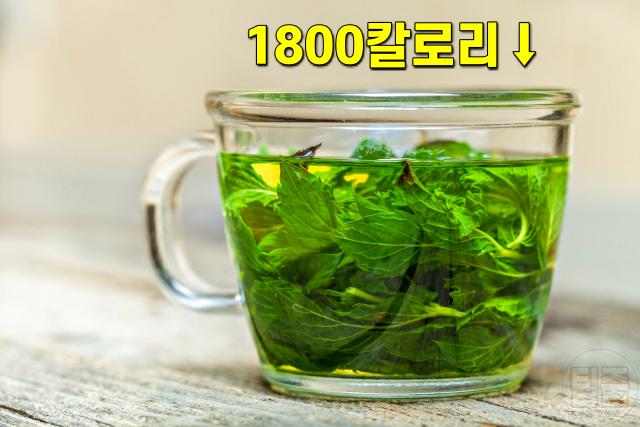 식욕억제제 약 효과 식욕감퇴 음식,페퍼민트,가짜식욕퇴치