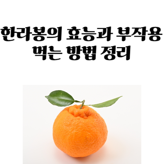 한라봉의 효능과 부작용, 먹는 방법