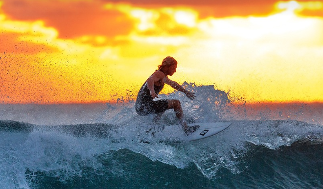 서핑보드 가격 총정리: 초보부터 전문가까지 종류별 선택법