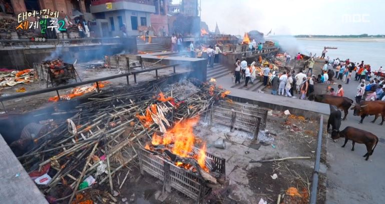 기안84테세일주2