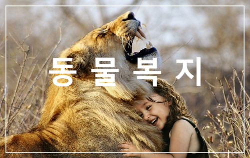동물복지