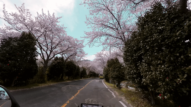 현동