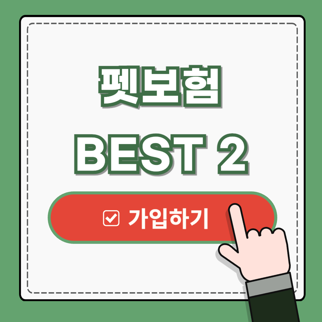 펫보험 ❘ 종류 ❘ 비교 ❘ 베스트 2 추천