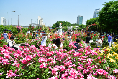 2023 서울 장미축제 가수 주차장 일정 총정리