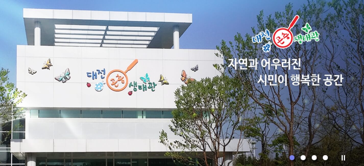 반딧불이 축제