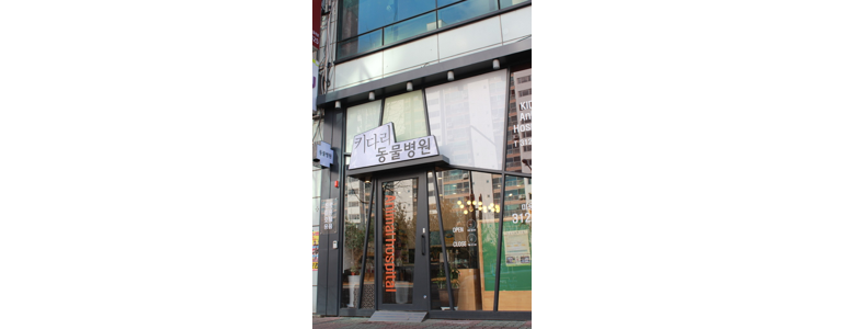 대구 북구 동물병원