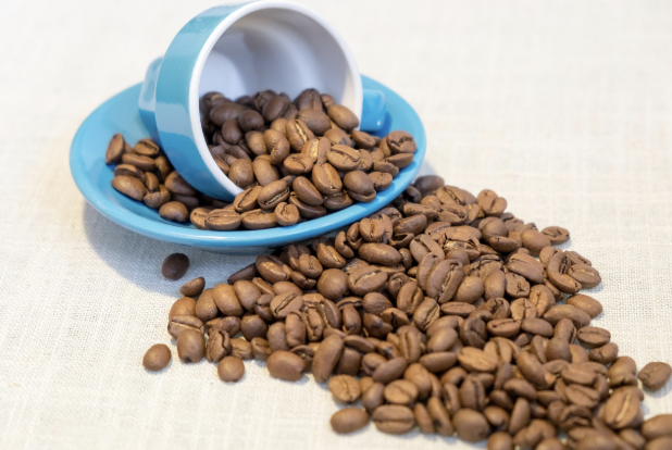 원두의 종류와 맛 차이 쉽게 이해하기