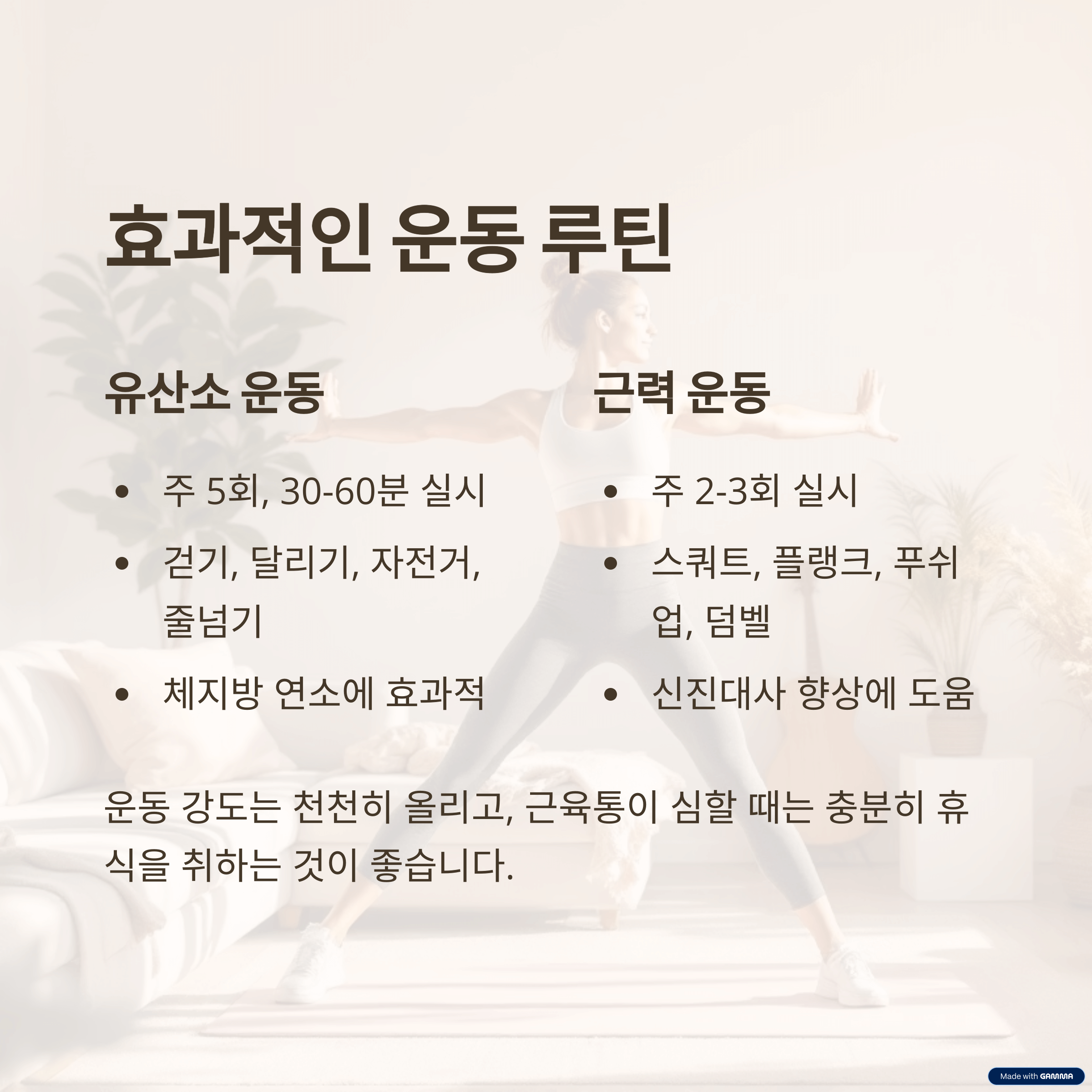 운동 루틴: 유산소와 근력의 조화