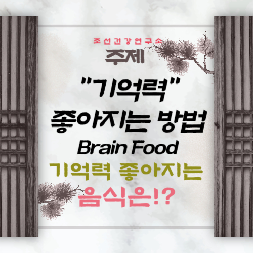 기억력 좋아지는 방법 8가지 기억력 뇌건강 개선 좋아지는 음식
