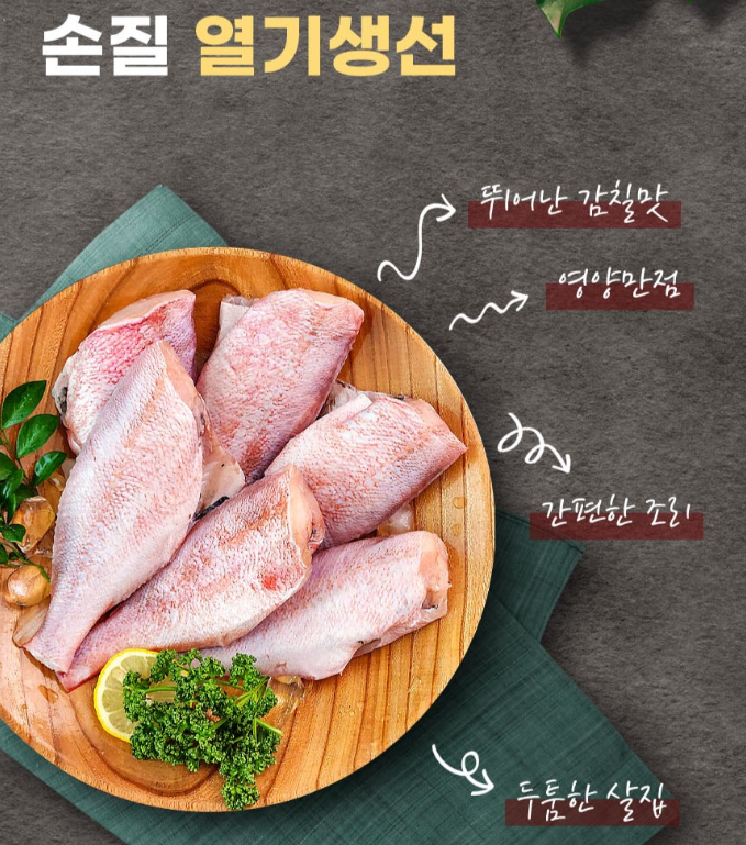 생방송투데이 오늘도달린다 청년사장 수산물로 월매출 4천 윤자네수산 정보