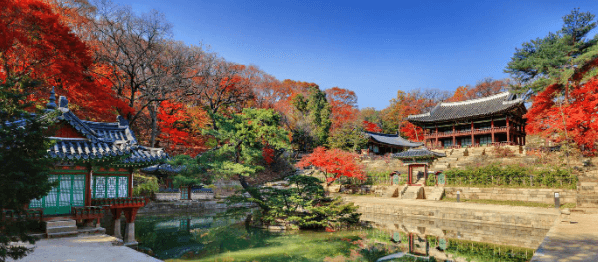 단풍구경-가볼만한-곳-창덕궁