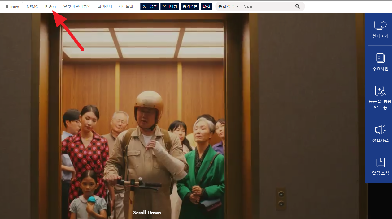 응급의료포털 E-gen 홈페이지