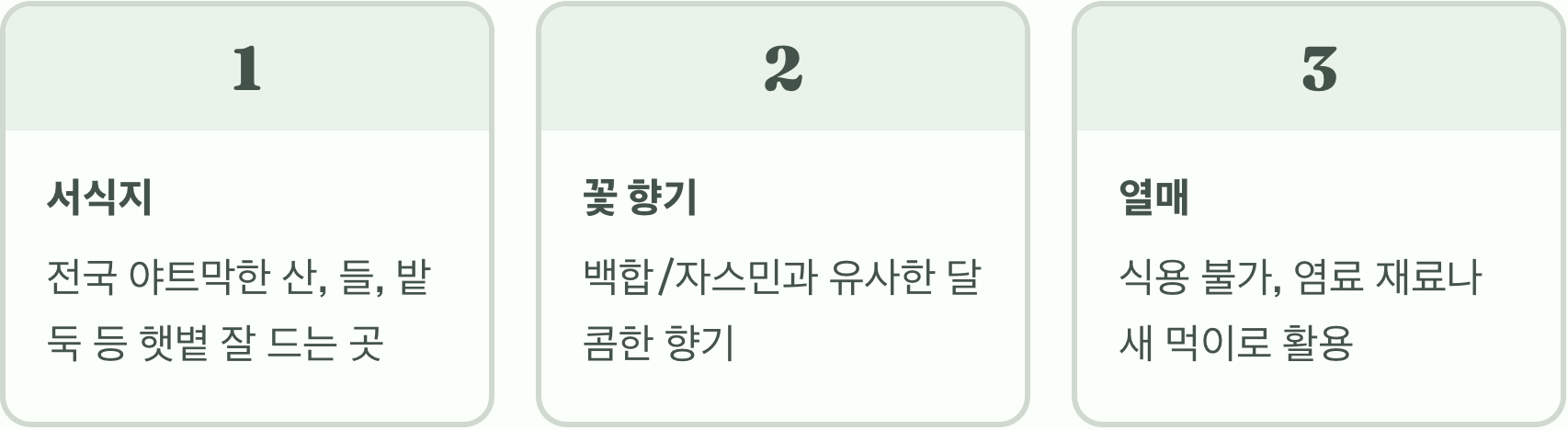 누리장나무, 정말 지독한 누린내가 날까? (냄새의 정체)