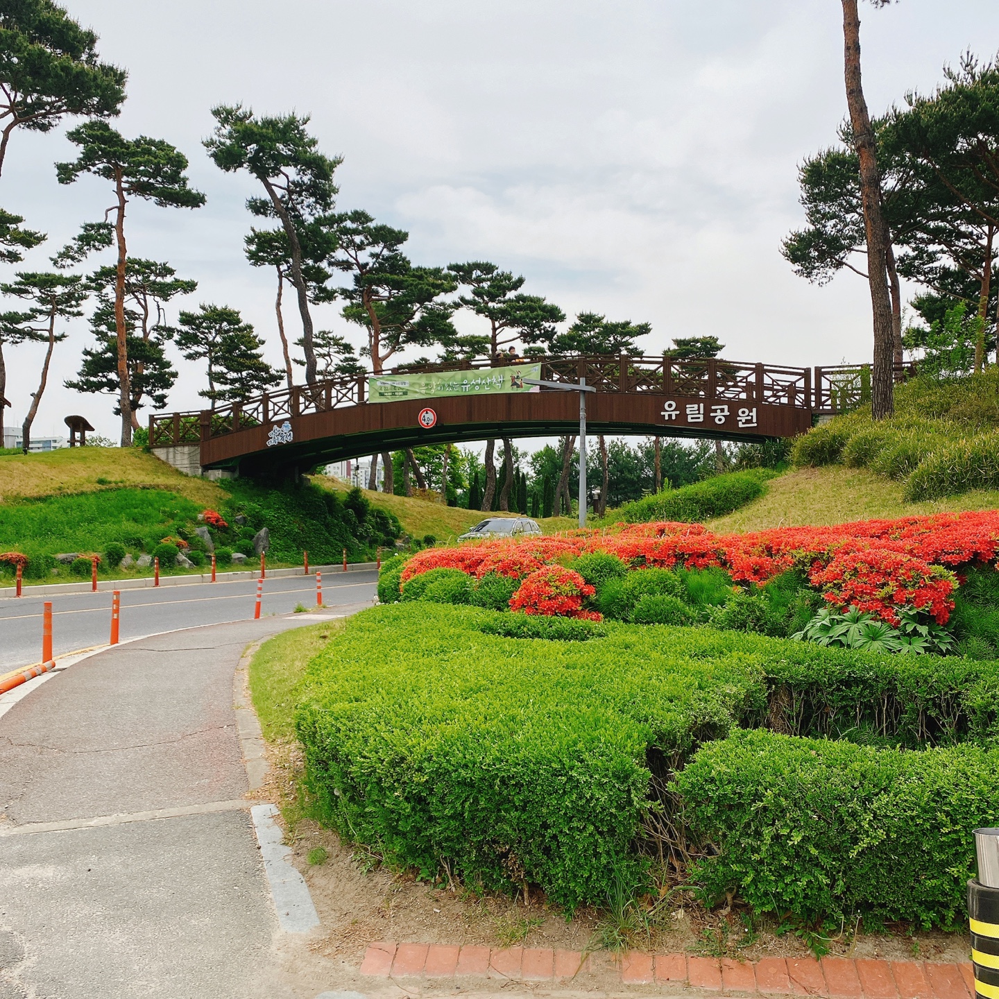 대전 대형베이커리 카페 크로넛 유성공원 에이트 aight