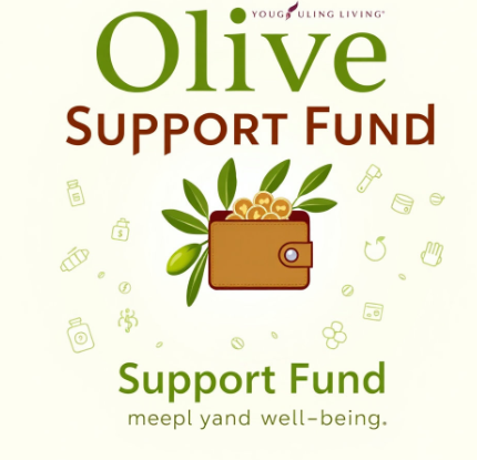 올리브영민생지원금그림