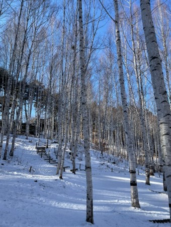 겨울 국내여행지 추천 베스트 5 인제1