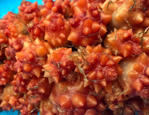 멍게 – 호불호 갈리지만 중독성 강한 향