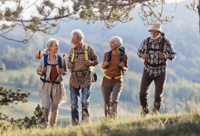 청명(淸明) 절기에 즐기는 봄나물 가이드