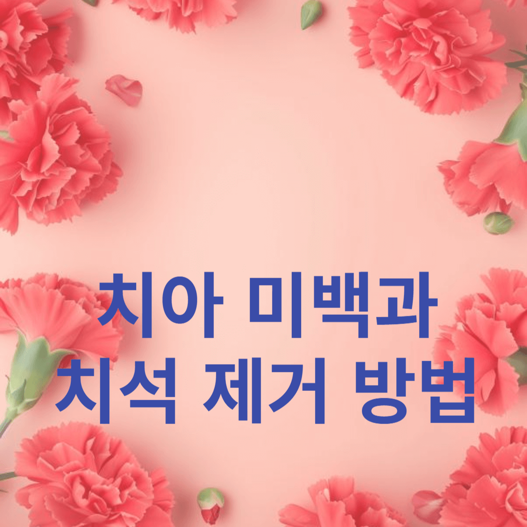 집에서 쉽게 할 수 있는 치아 미백과 치석 제거 방법