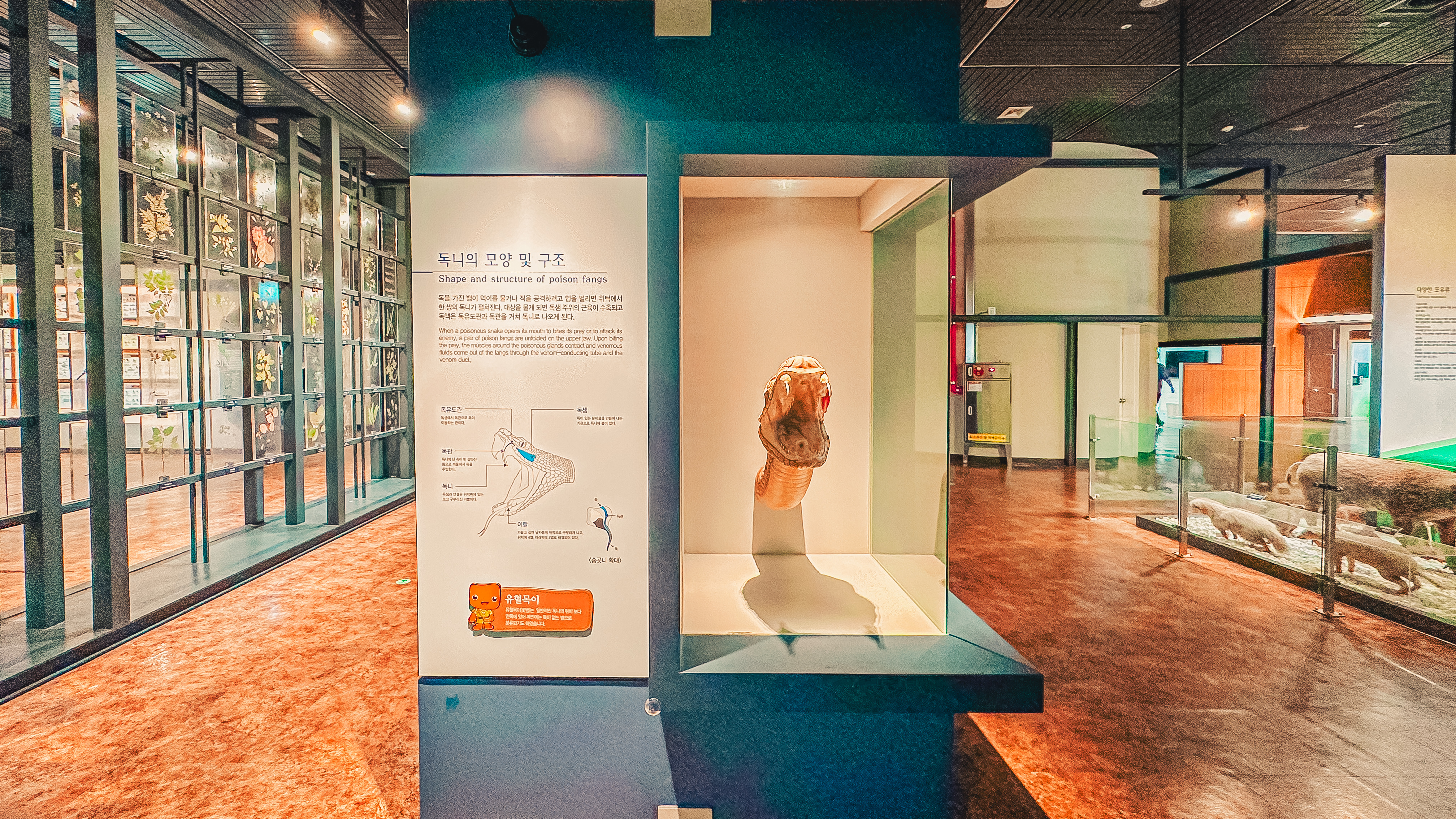 국립 중앙 과학관