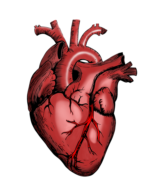 심근경색 vs 뇌졸중 (증상 차이&amp;#44; 원인&amp;#44; 대응법)