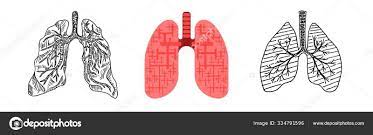 결핵 보건소에서 무료검진 대상 및 신청 방법 