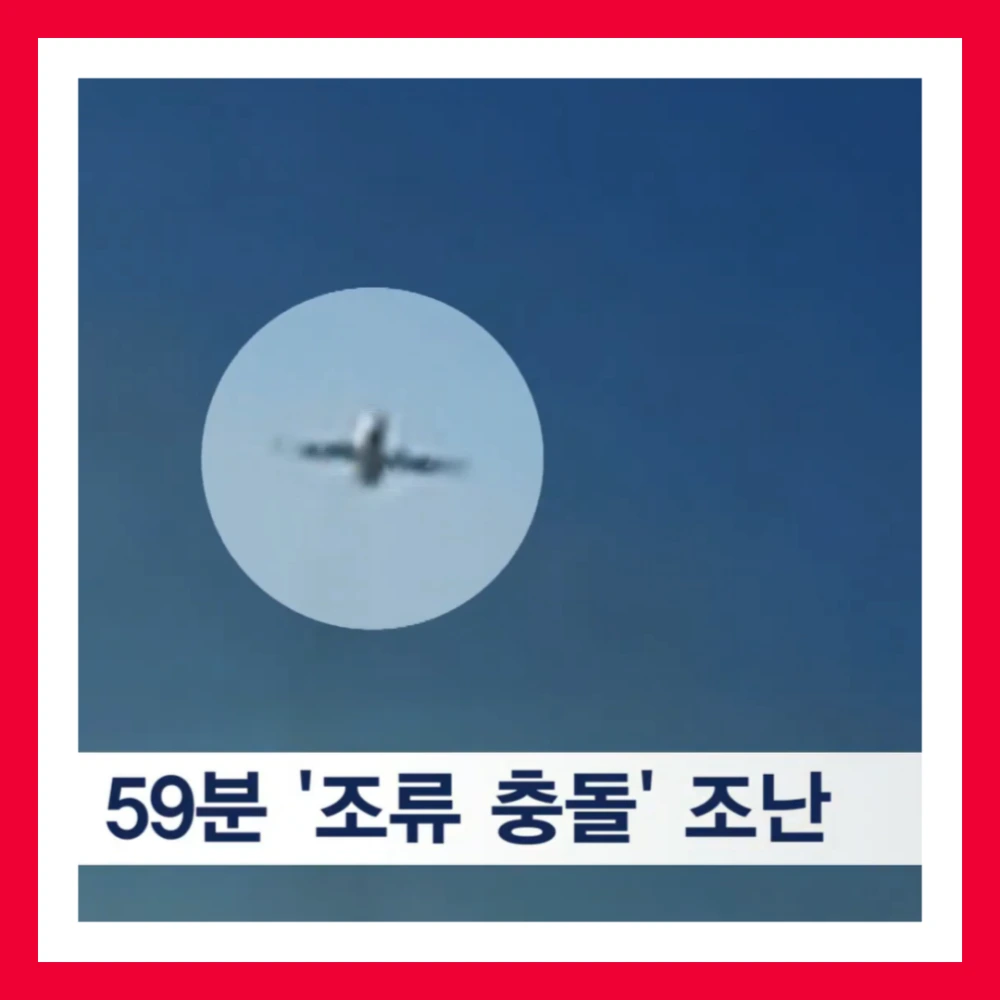 제주항공-엔진-깃털-조류충돌