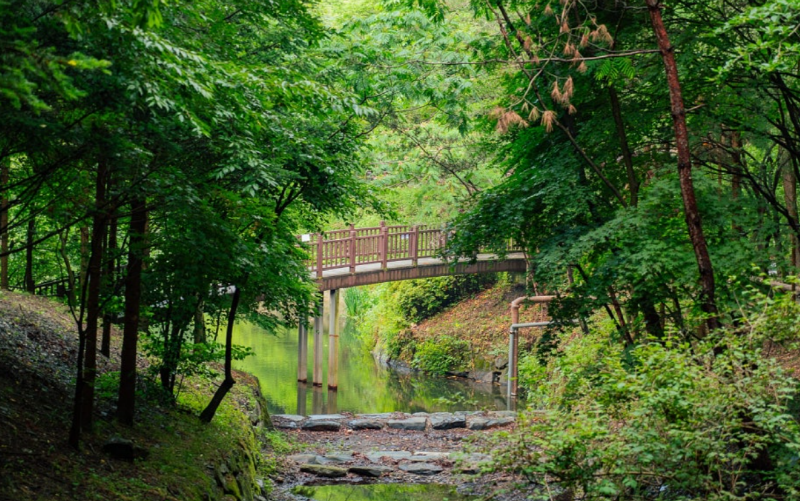 만인산 자연휴양림