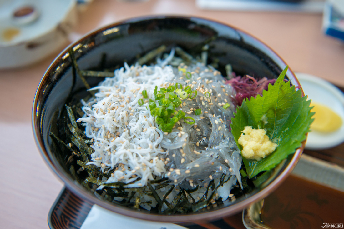 도쿄 봄 제철 음식 시라스