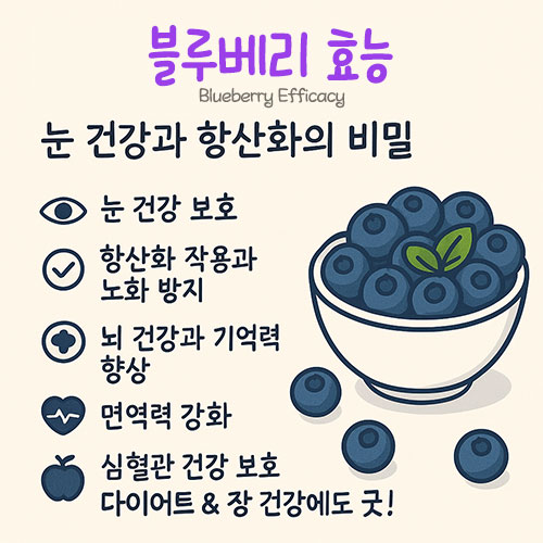 블루베리 효능